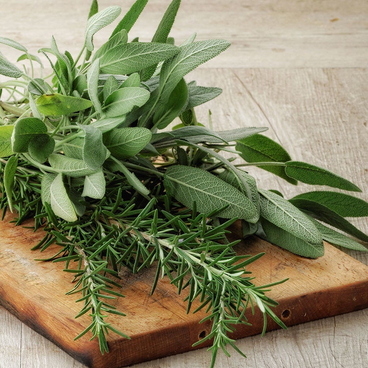 Rosemary + Sage - REED DIFFUSER, Herbal Aromatherapy Home Fragrance -- by Moon Water Apothecary!
