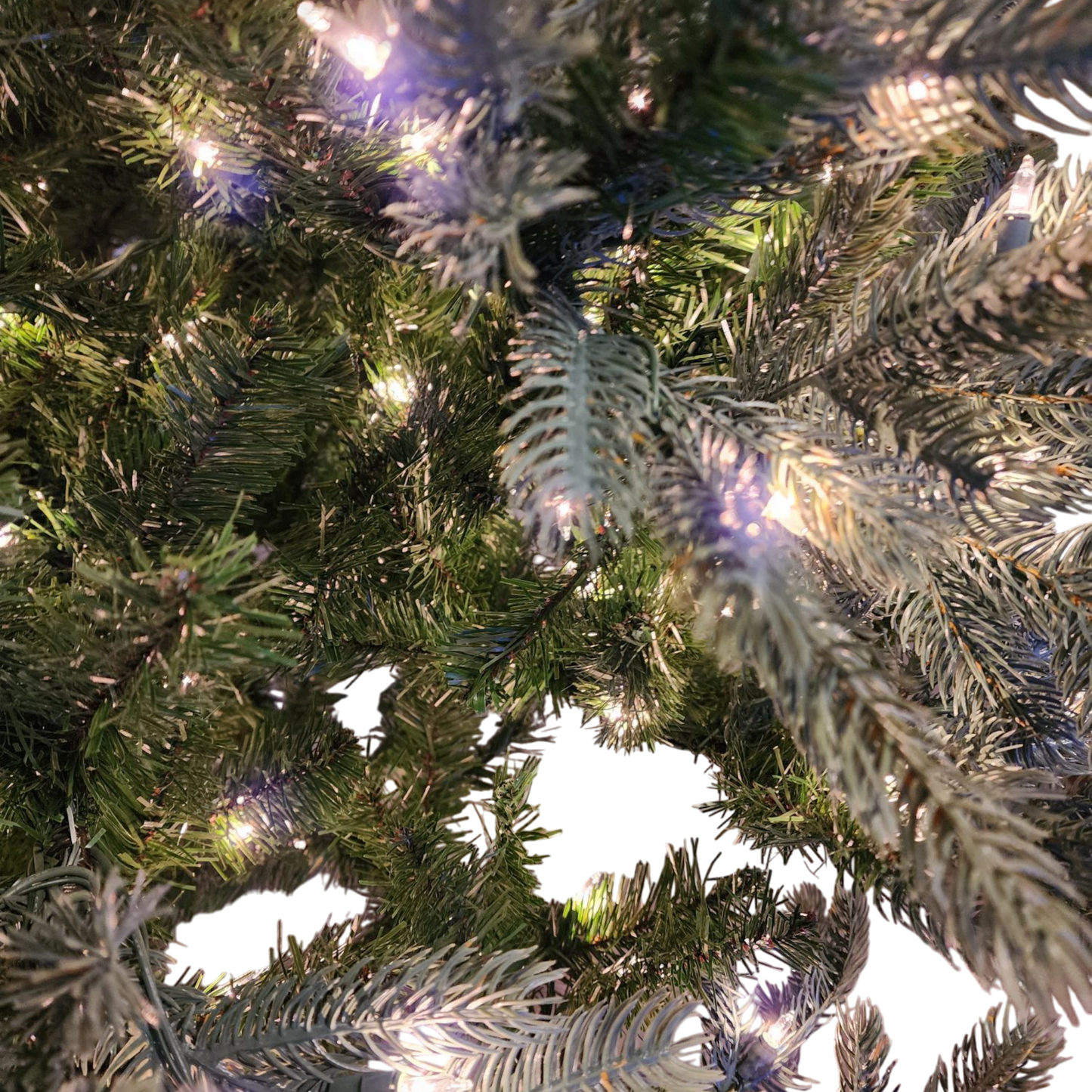 Lush Douglas Fir Tree - 9 Foot - 500 Clear Bulbs