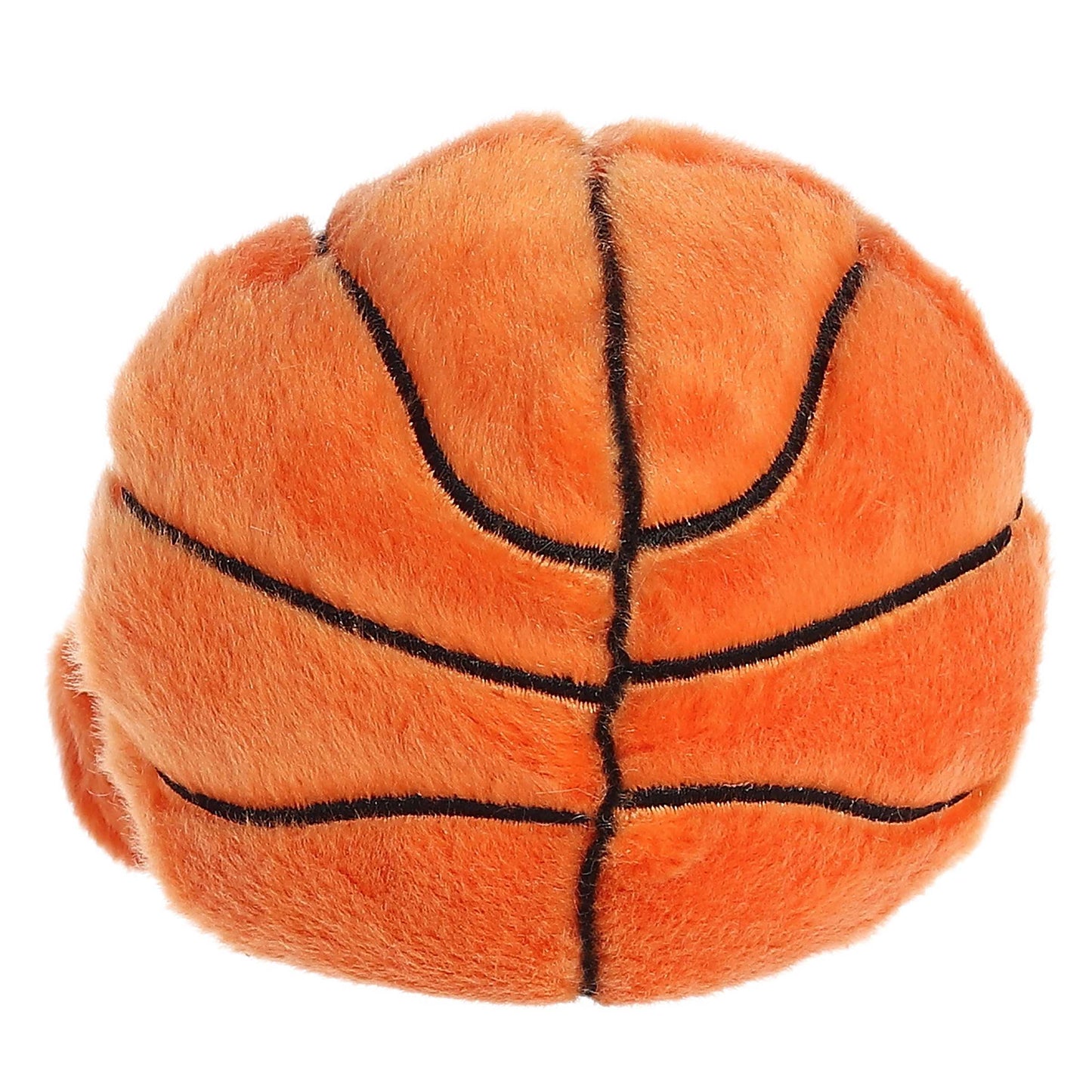 Hoops Basketball Palm Pal