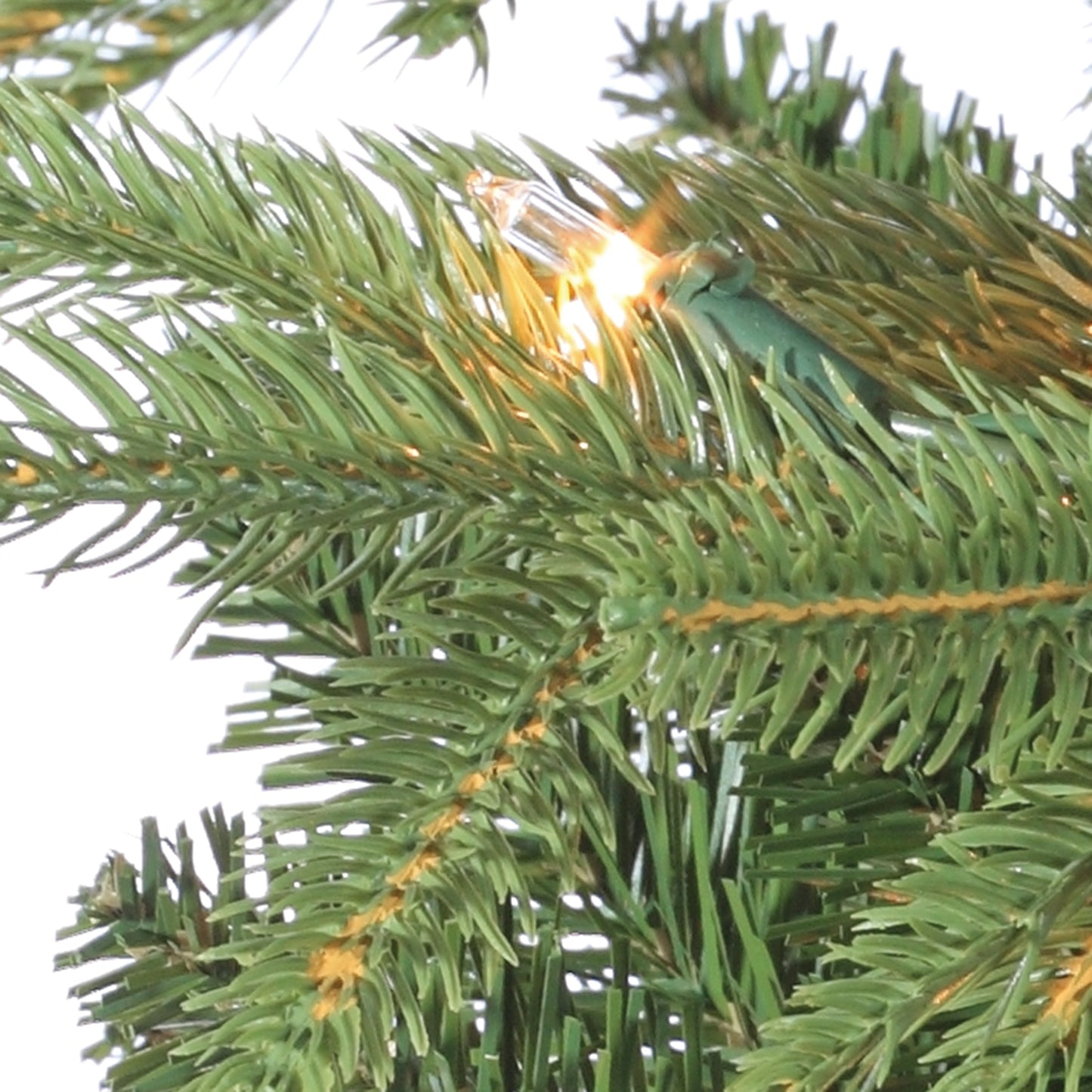 7.5 foot Natural Cut Frasier Fir- Clear Lights