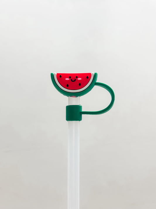 Straw Cover "Watermelon"