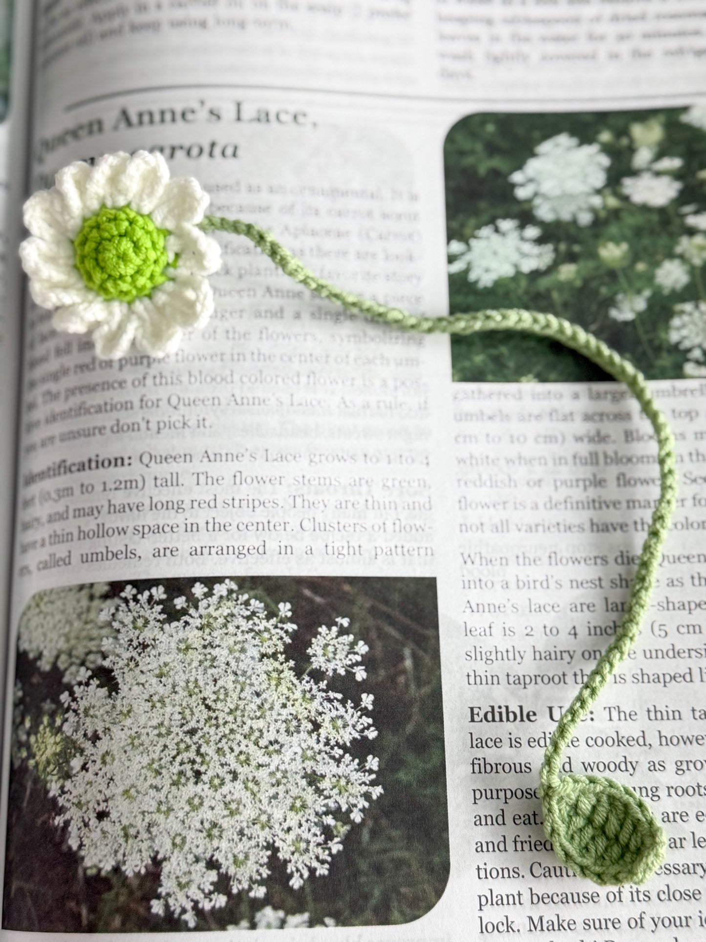 Dainty Crochet Bookmark "White Chrysanthemum