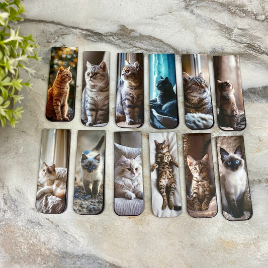 Bookmark - Cat Picture Magnetic Mix