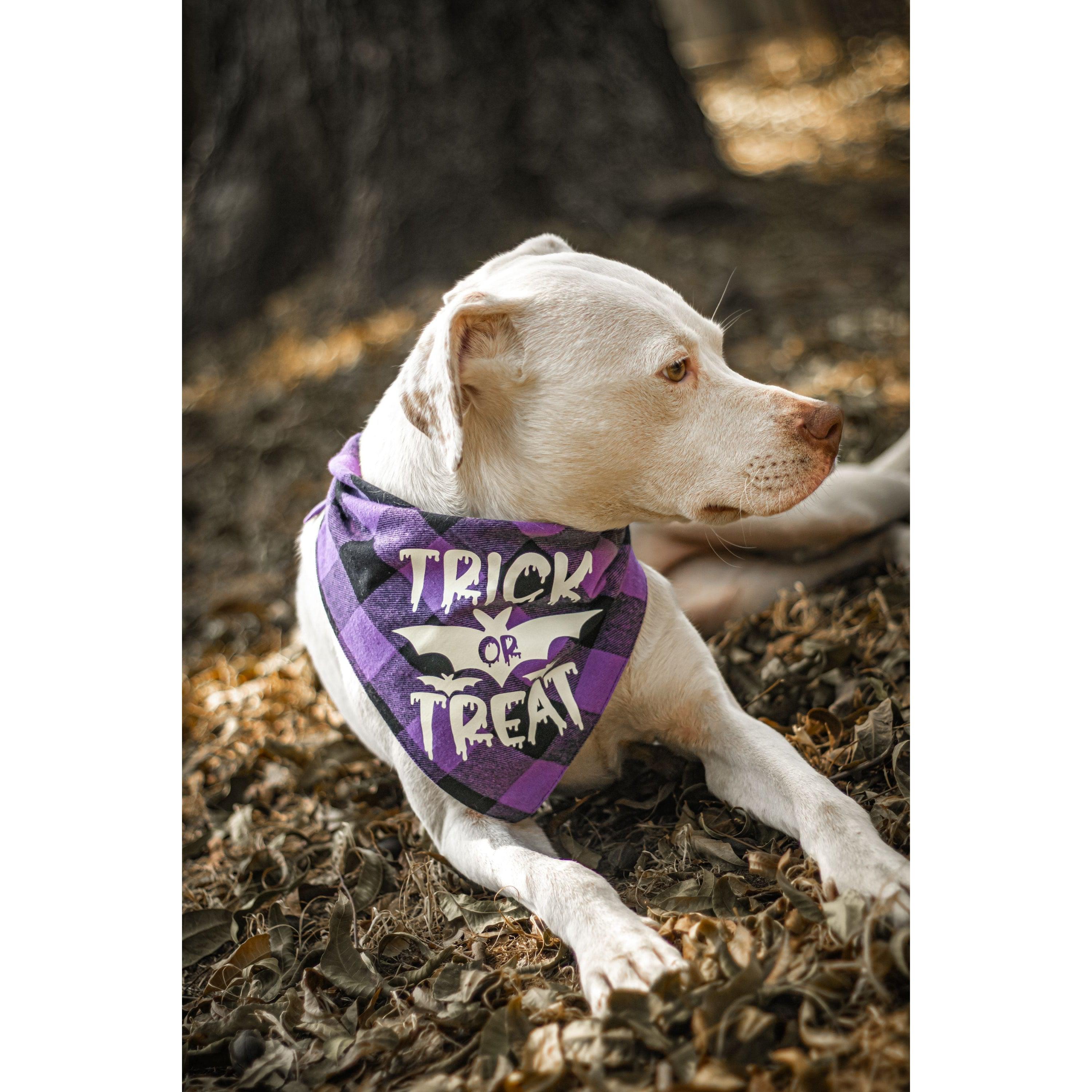 Julia Rose Halloween dog triangle collar scarf, Halloween dog bandana triangle style