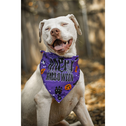 Julia Rose Halloween dog triangle collar scarf, Halloween dog bandana triangle style