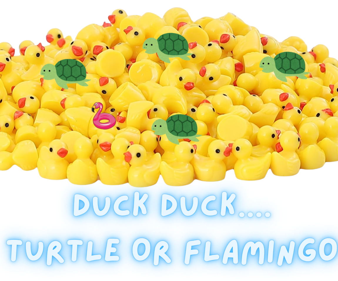 DUCK DUCK...?