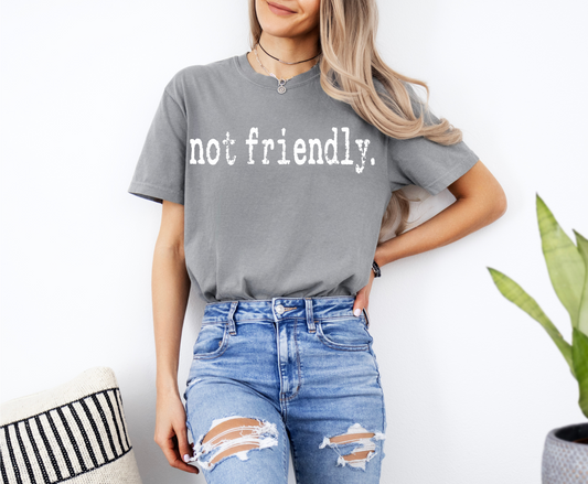 Not Friendly Graphic Tee