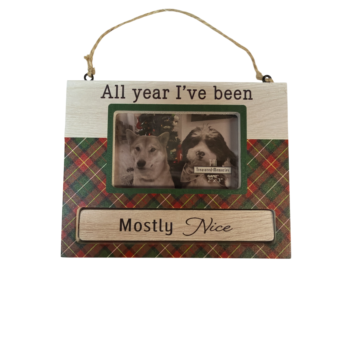 Pet Photo Frame Ornament - All year I've been Mostly Nice