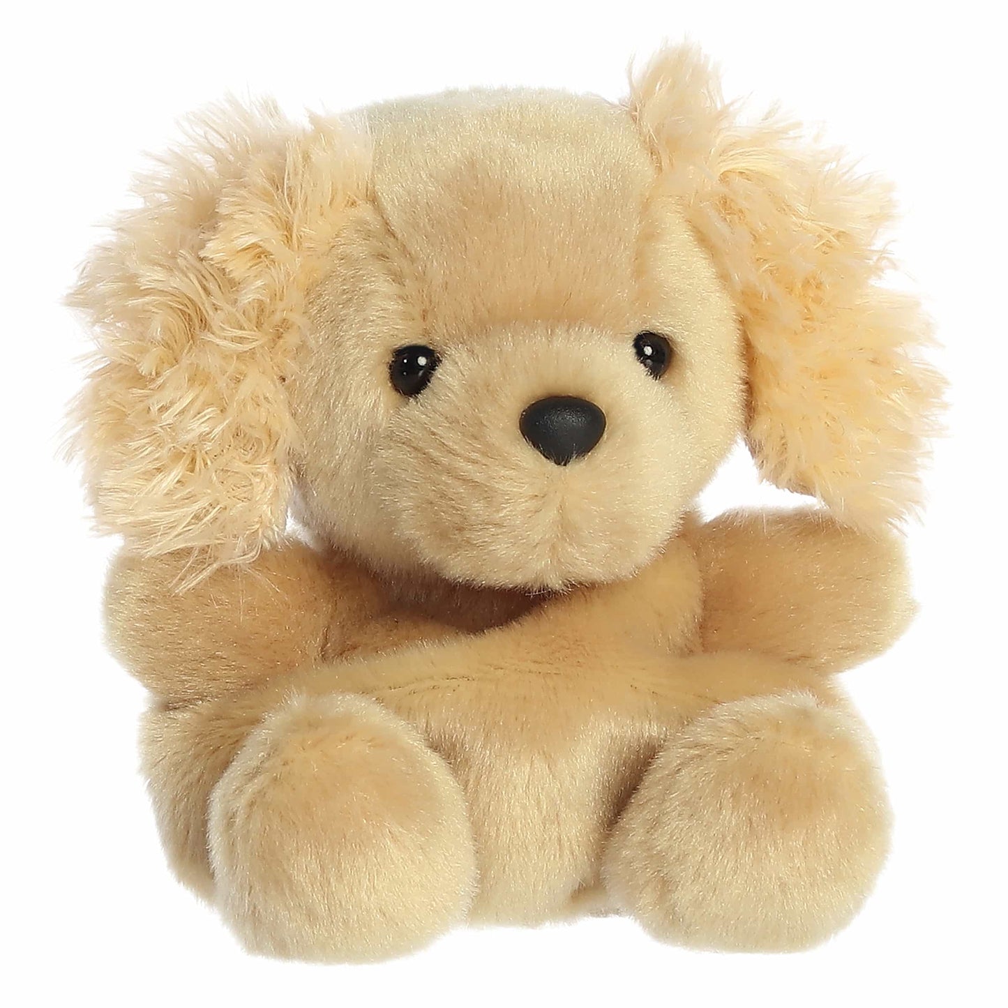 Oatmeal Goldendoodle  Palm Pal