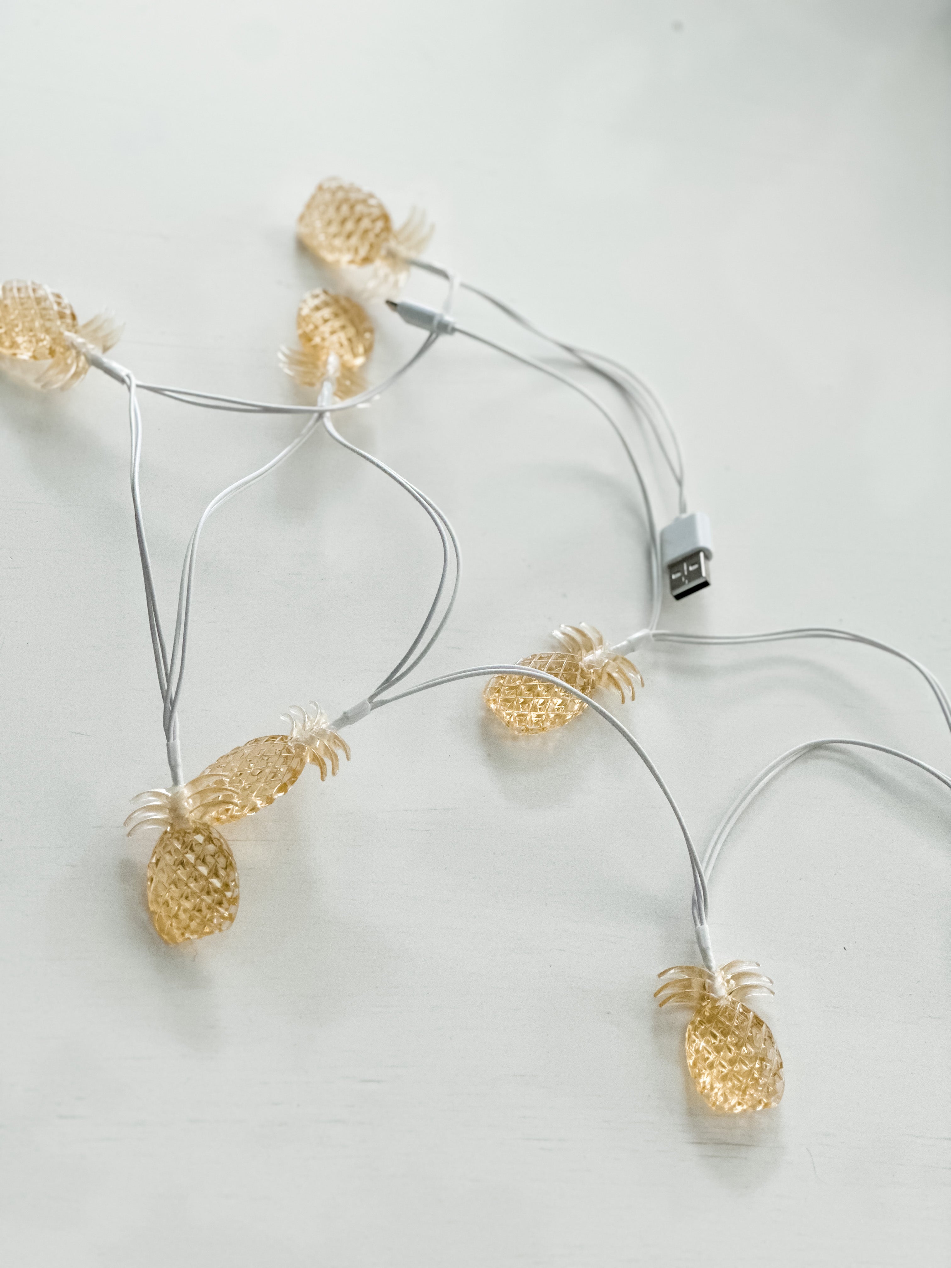 "Preppy Pineapple" iPhone Charger
