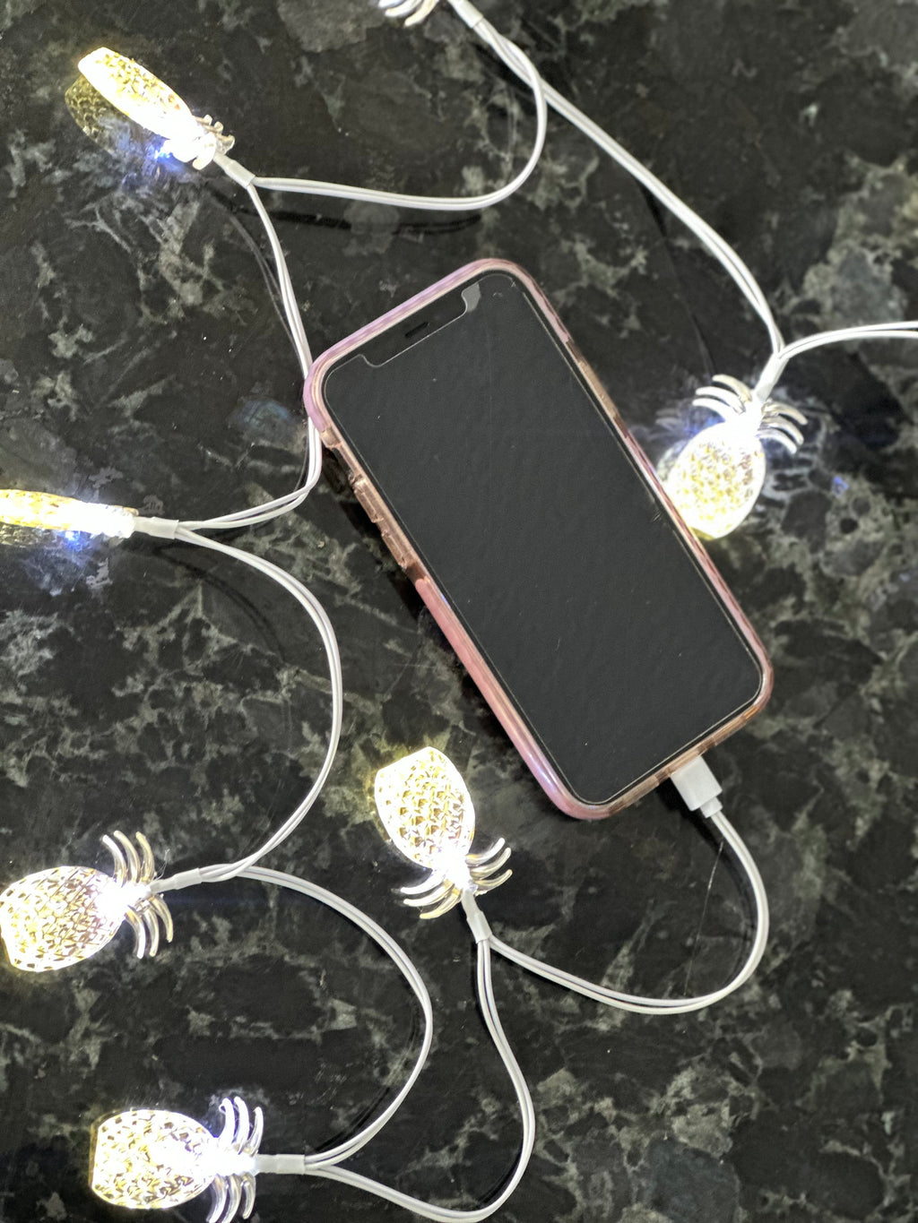 "Preppy Pineapple" iPhone Charger