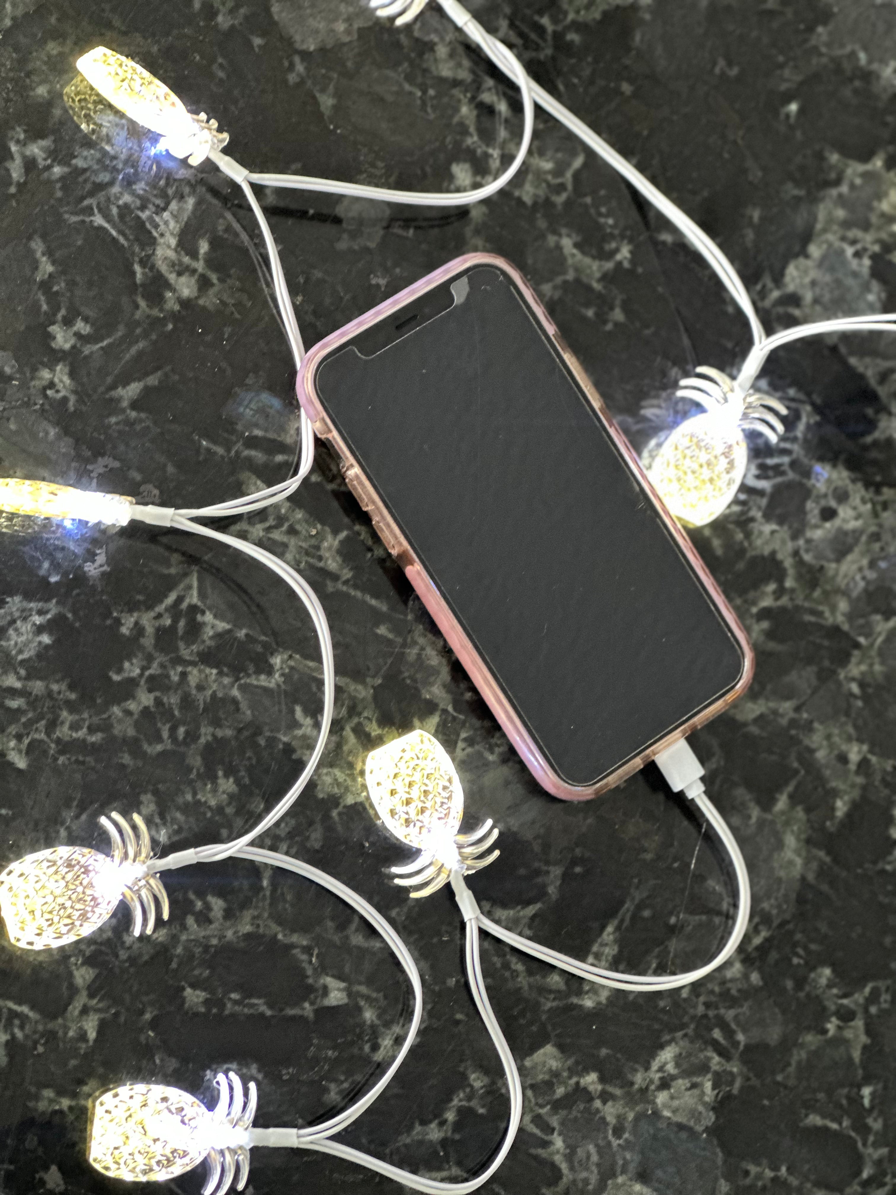 "Preppy Pineapple" iPhone Charger