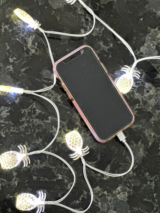 "Preppy Pineapple" iPhone Charger
