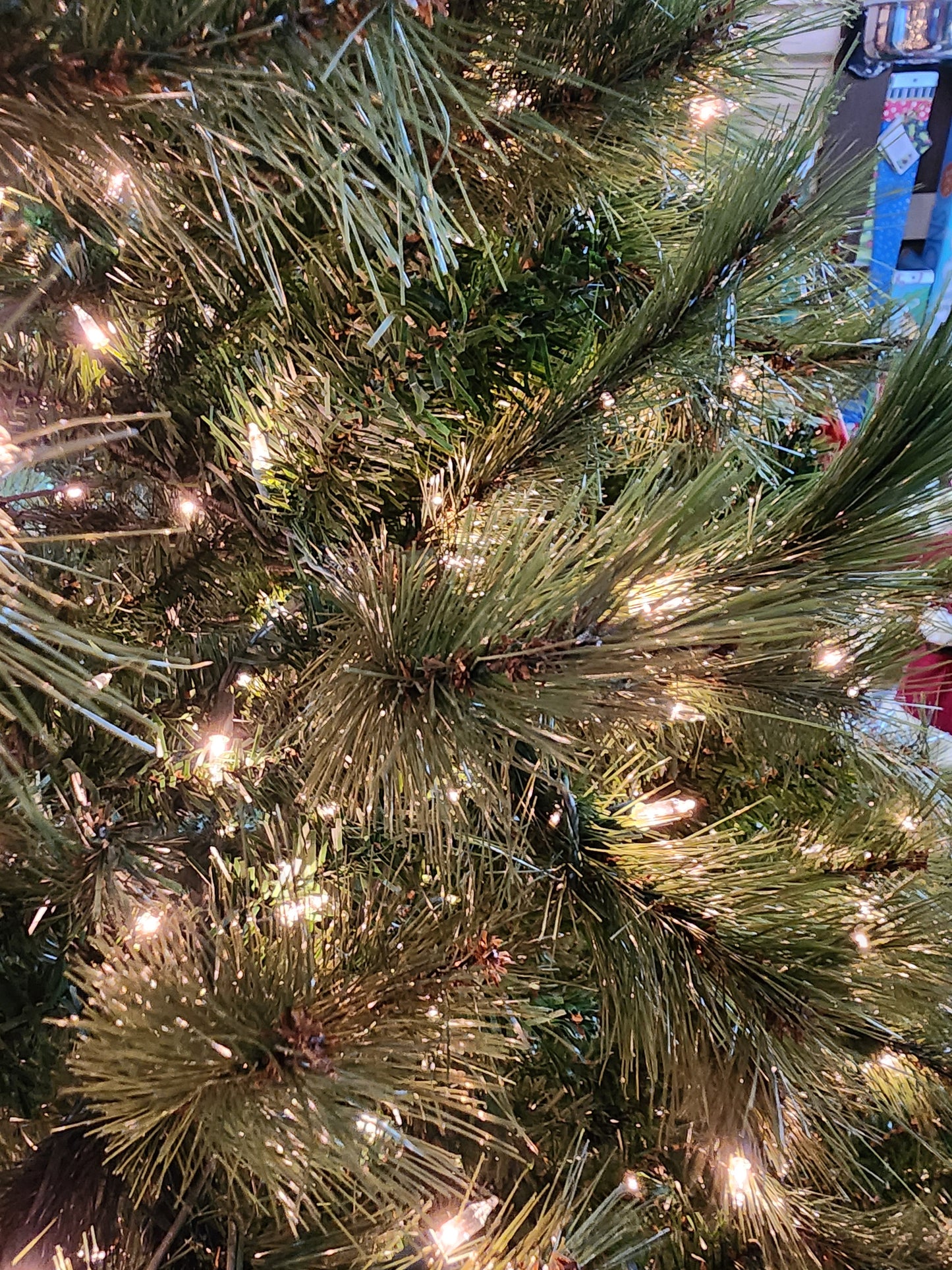 9 Foot Scotch Pine Tree - 1500 Clear Lights