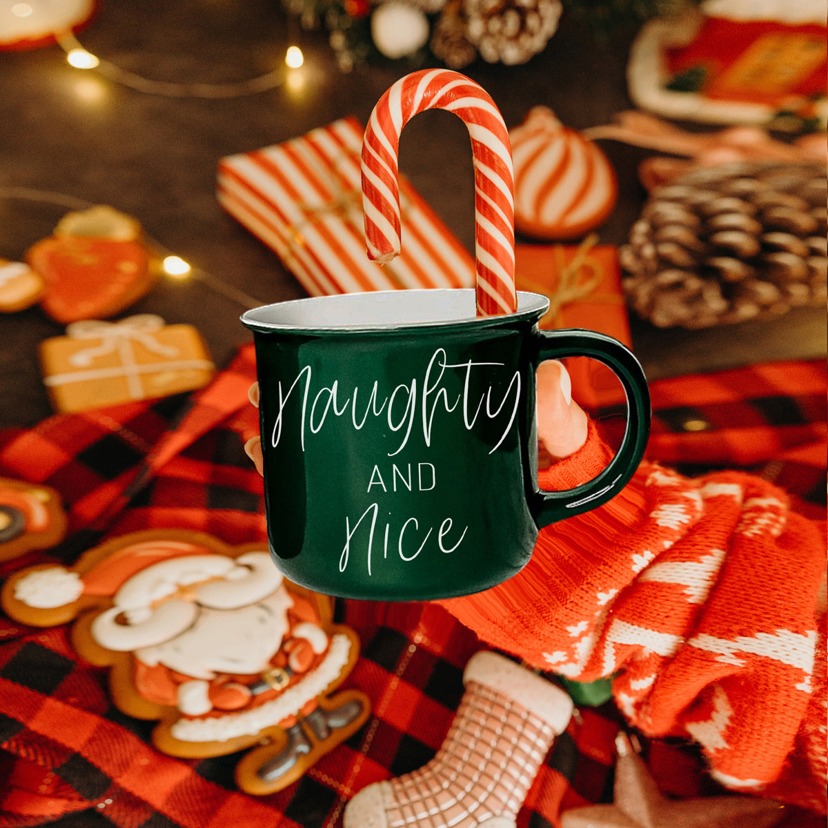 Naughty & Nice Mug