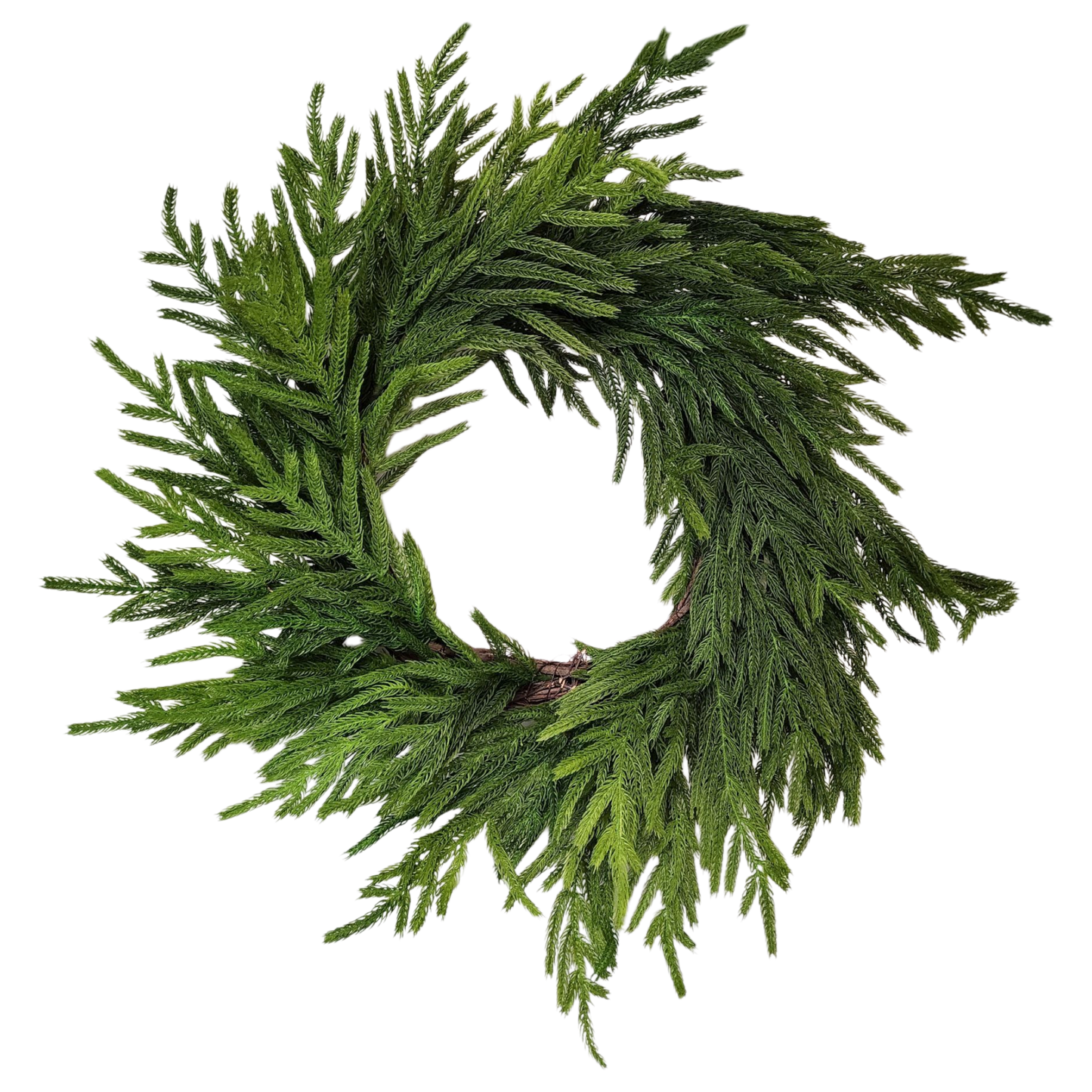 Natural Looking Lush Cedar Wreath - 24 Inches